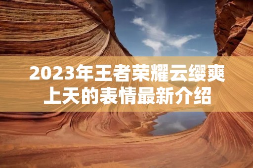 2023年王者荣耀云缨爽上天的表情最新介绍