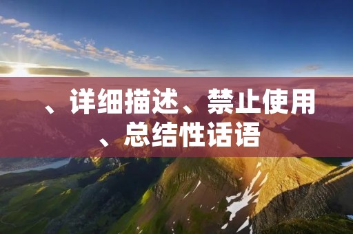 、详细描述、禁止使用、总结性话语