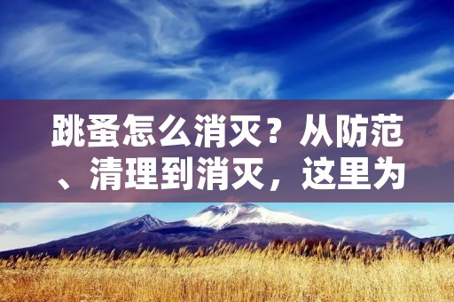 跳蚤怎么消灭?从防范、清理到消灭,这里为您介绍一些跳蚤消灭的方法。