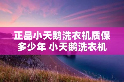正品小天鹅洗衣机质保多少年 小天鹅洗衣机的质保期是多久 正品小天鹅洗衣机质保多少年 小天鹅洗衣机的质保期是多久