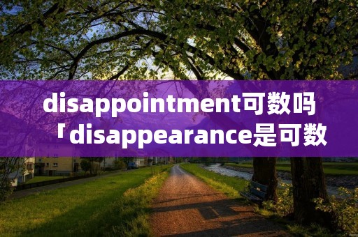disappointment可数吗「disappearance是可数名词吗」 disappointment可数吗「disappearance是可数名词吗」