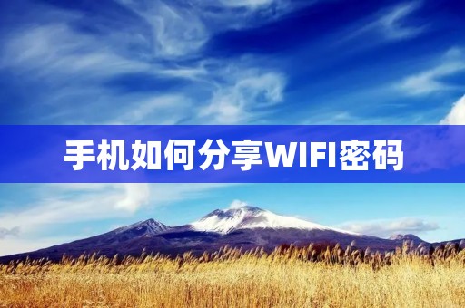 手机如何分享WIFI密码