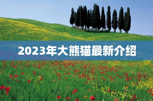 2023年大熊猫最新介绍