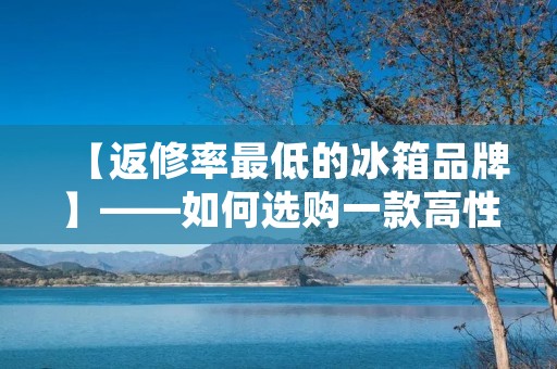 【返修率最低的冰箱品牌】——如何选购一款高性价比的冰箱？