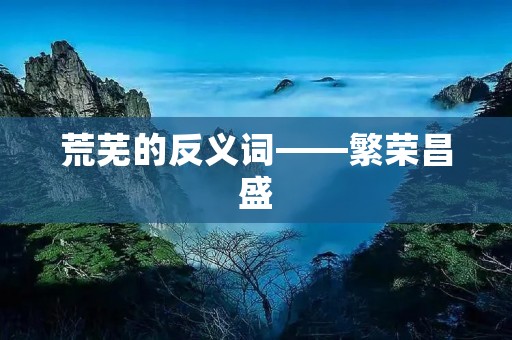 荒芜的反义词——繁荣昌盛