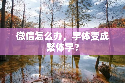 微信怎么办,字体变成繁体字?