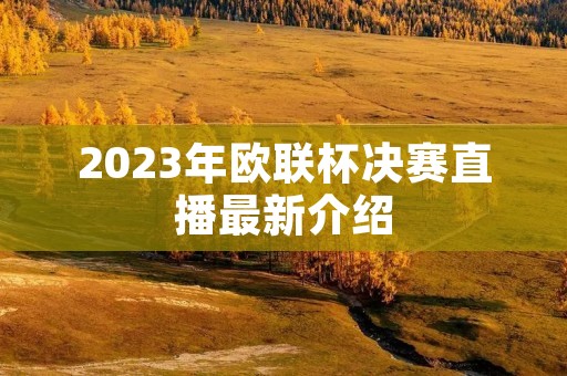 2023年欧联杯决赛直播最新介绍