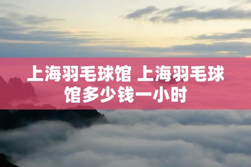 上海羽毛球馆 上海羽毛球馆多少钱一小时