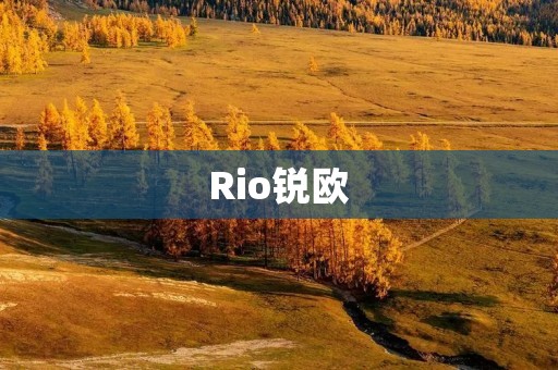 Rio锐欧：一款时尚、实用的家庭轿车