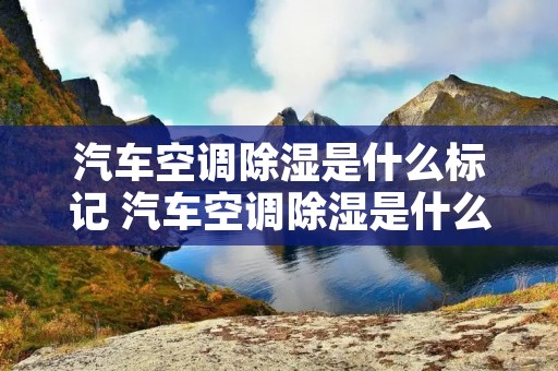 汽车空调除湿是什么标记 汽车空调除湿是什么标记符号