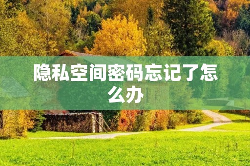 隐私空间密码忘记了怎么办