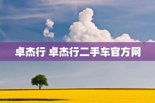 卓杰行 卓杰行二手车官方网