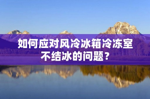 如何应对风冷冰箱冷冻室不结冰的问题？