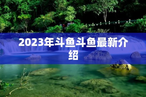 2023年斗鱼斗鱼最新介绍 2023年斗鱼斗鱼最新介绍