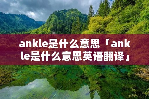 ankle是什么意思「ankle是什么意思英语翻译」 ankle是什么意思「ankle是什么意思英语翻译」