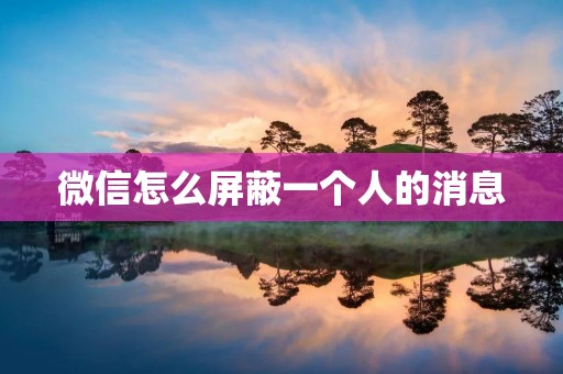微信怎么屏蔽一个人的消息