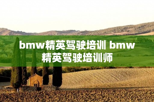 bmw精英驾驶培训 bmw精英驾驶培训师