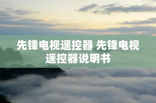 先锋电视遥控器 先锋电视遥控器说明书