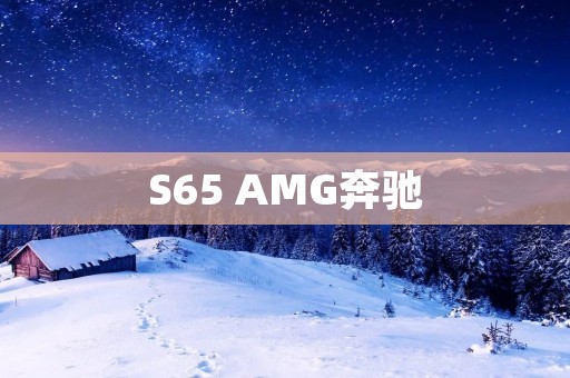 S65 AMG奔驰:极致驾控与豪华体验 S65 AMG奔驰:极致驾控与豪华体验