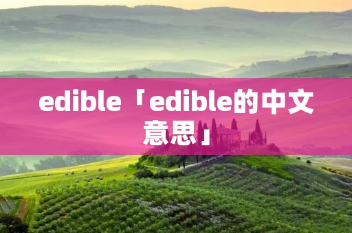 edible「edible的中文意思」