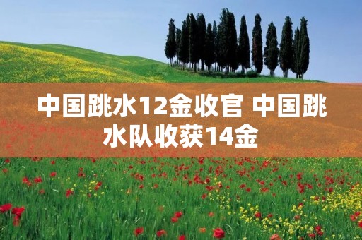 中国跳水12金收官 中国跳水队收获14金 中国跳水12金收官 中国跳水队收获14金