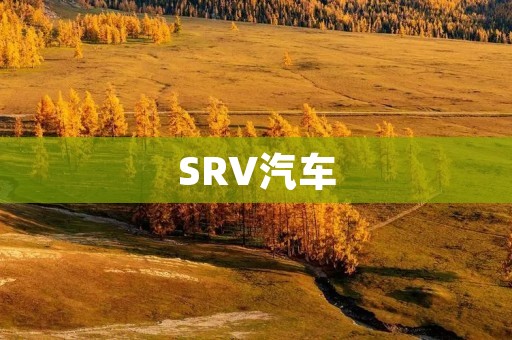 SRV汽车:豪华与实用的完美结合 SRV汽车:豪华与实用的完美结合