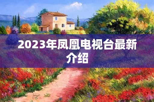 2023年凤凰电视台最新介绍