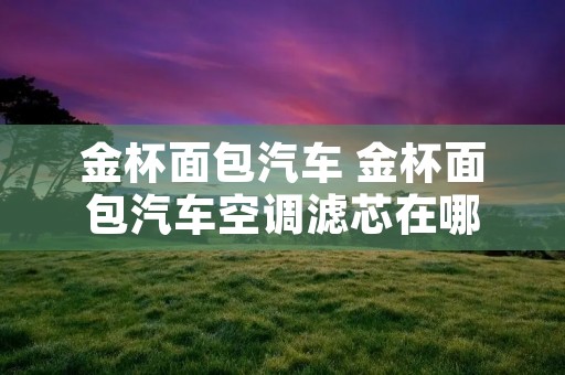 金杯面包汽车 金杯面包汽车空调滤芯在哪 金杯面包汽车 金杯面包汽车空调滤芯在哪