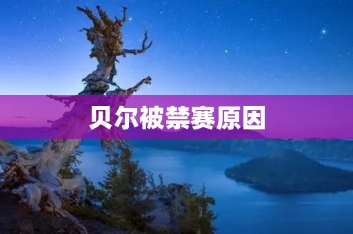 贝尔被禁赛原因：违反纪律规定