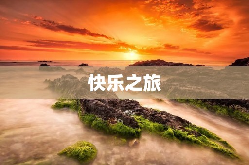 快乐之旅：探索生命的美好