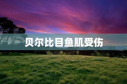 贝尔比目鱼肌受伤:如何预防和治疗 贝尔比目鱼肌受伤:如何预防和治疗