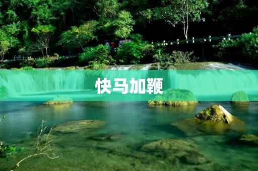 快马加鞭：加速生活步伐的代价