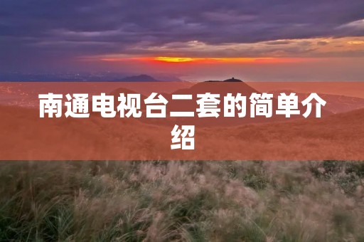 南通电视台二套的简单介绍