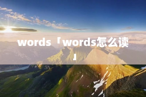 words「words怎么读」