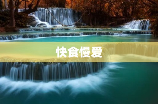 快食慢爱：当快餐文化影响我们的生活