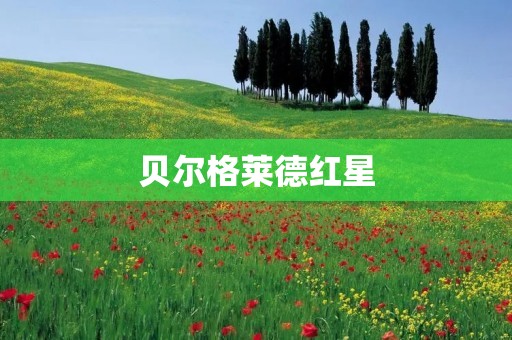 贝尔格莱德红星：从传奇到辉煌