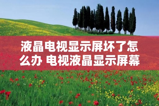 液晶电视显示屏坏了怎么办 电视液晶显示屏幕坏了一般显示什么 液晶电视显示屏坏了怎么办 电视液晶显示屏幕坏了一般显示什么