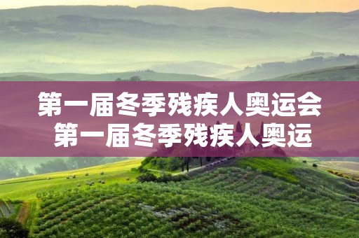 第一届冬季残疾人奥运会 第一届冬季残疾人奥运会在哪举行