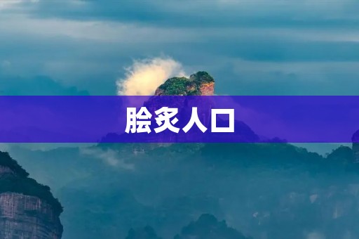 脍炙人口:为何这些事物能够成为大众追捧的对象?