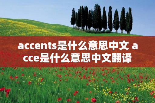 accents是什么意思中文 acce是什么意思中文翻译