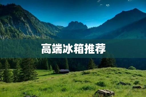 高端冰箱推荐：哪些品牌最值得购买？