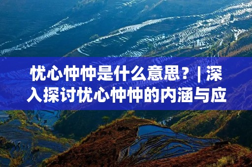 忧心忡忡是什么意思?| 深入探讨忧心忡忡的内涵与应用