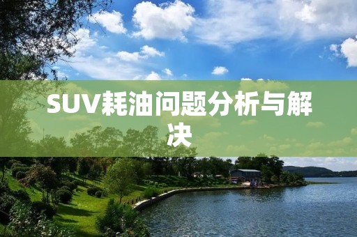 SUV耗油问题分析与解决 SUV耗油问题分析与解决