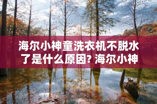 海尔小神童洗衣机不脱水了是什么原因? 海尔小神童洗衣机为什么不能脱水 海尔小神童洗衣机不脱水了是什么原因? 海尔小神童洗衣机为什么不能脱水