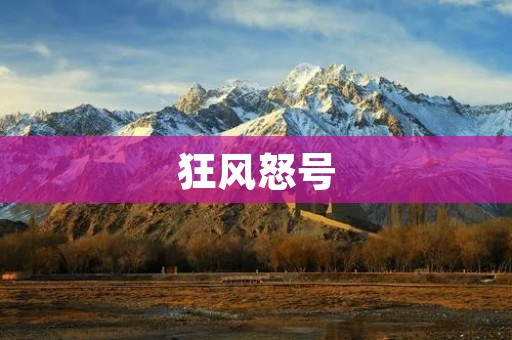 狂风怒号:夜里的嘶吼