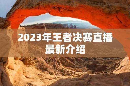 2023年王者决赛直播最新介绍