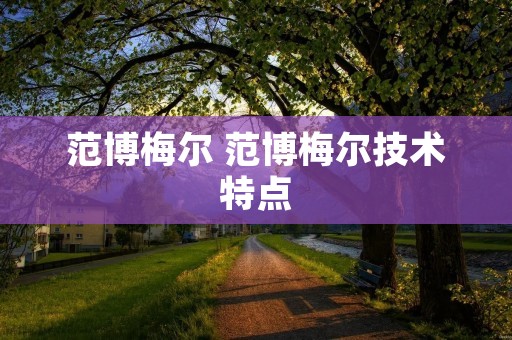 范博梅尔 范博梅尔技术特点