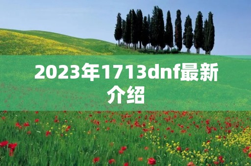 2023年1713dnf最新介绍