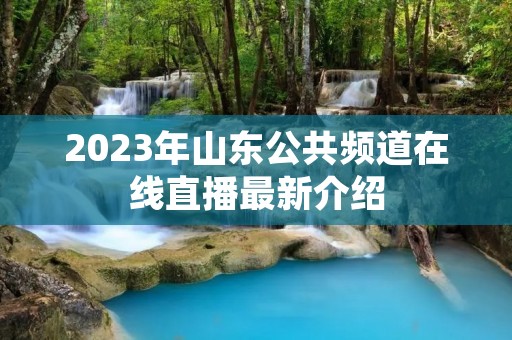 2023年山东公共频道在线直播最新介绍 2023年山东公共频道在线直播最新介绍