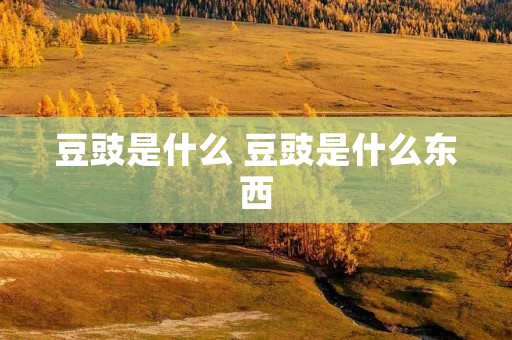 豆豉是什么 豆豉是什么东西